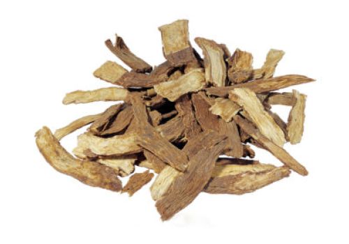 Tục đoạn - Dược liệu Ninh Hiệp