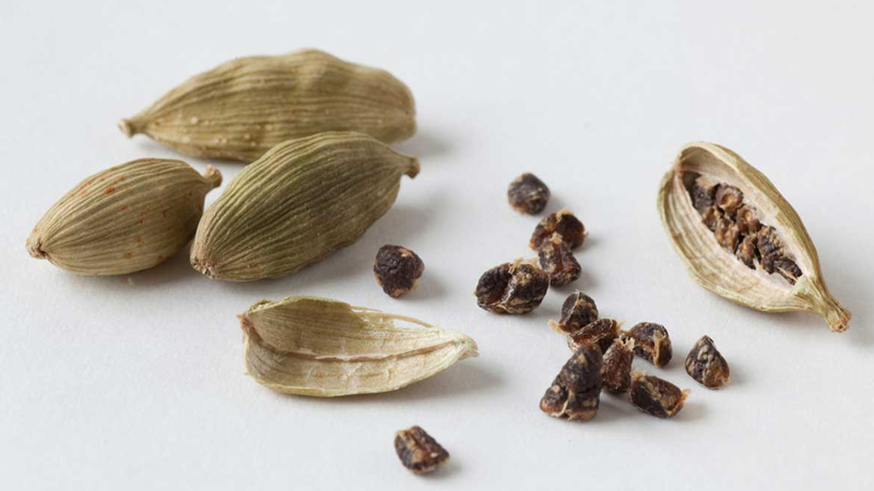 Bạch đậu khấu 2